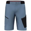 Herren Shorts  Salewa  Pedroc 3 DST M Cargo Shorts