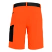 Herren Shorts Salewa  Pedroc Cargo 2 Dst Red Orange