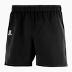 Herren Shorts Salomon