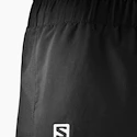 Herren Shorts Salomon