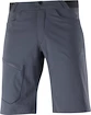 Herren Shorts  Salomon  Wayfarer Shorts Ebony 48