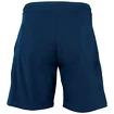 Herren Shorts Tecnifibre  Stretch Blue