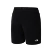 Herren Shorts The North Face  Circadian Short Black Yellow