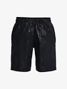 Herren Shorts Under Armour