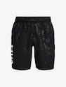Herren Shorts Under Armour