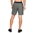 Herren Shorts Under Armour