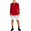 Herren Shorts Under Armour