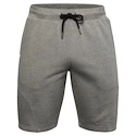 Herren Shorts Under Armour