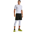 Herren Shorts Under Armour