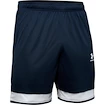Herren Shorts Under Armour