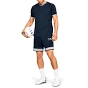 Herren Shorts Under Armour