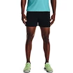 Herren Shorts Under Armour