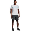 Herren Shorts Under Armour