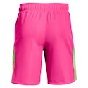 Herren Shorts Under Armour