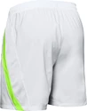 Herren Shorts Under Armour  Launch SW 7"