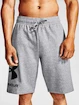 Herren Shorts Under Armour  Rival FLC Big Logo Shorts gray S