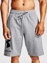 Herren Shorts Under Armour  Rival FLC Big Logo Shorts gray S