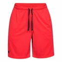 Herren Shorts Under Armour Tech Mesh Short