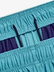 Herren Shorts Under Armour  Tech Vent Short-BLU