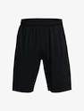 Herren Shorts Under Armour  Tech WM Graphic Short-BLK