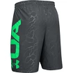 Herren Shorts Under Armour  Vanish Woven Emboss