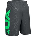 Herren Shorts Under Armour  Vanish Woven Emboss