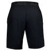 Herren Shorts Under Armour Vanish Woven Shorts schwarz