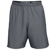 Herren Shorts Under Armour  Woven Graphic Wordmark Short Grey S