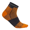 Herren Socken Icebreaker Merino Run+ Ultralight Mini Ray/Graphite  M