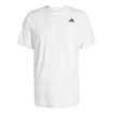 Herren T-Shirt adidas  Club Tennis Climacool Graphic T-Shirt White S