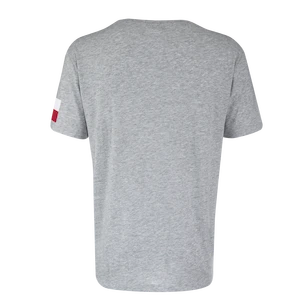 Herren T-Shirt CCM  FLAG TEE TEAM CZECH Athletic Grey