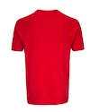 Herren T-Shirt CCM SS Premium Training Tee Red