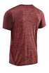 Herren T-Shirt CEP  Round Neck SS Dark Red