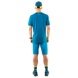Herren T-Shirt Dynafit  Transalper Light Nimbus Melange