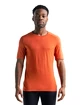 Herren T-Shirt Icebreaker  200 Oasis SS Crewe