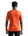 Herren T-Shirt Icebreaker  200 Oasis SS Crewe