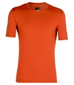 Herren T-Shirt Icebreaker  200 Oasis SS Crewe