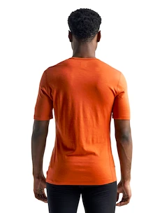 Herren T-Shirt Icebreaker  200 Oasis SS Crewe