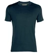 Herren T-Shirt Icebreaker  Amplify SS Crewe