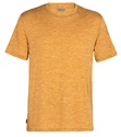 Herren T-Shirt Icebreaker  Dowlas SS Crewe