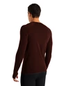 Herren-T-Shirt Icebreaker M 200 Zone Seamless LS Crewe ESPRESSO