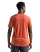 Herren T-Shirt Icebreaker  Sphere SS Crewe