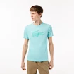 Herren T-Shirt Lacoste Core Performance Light Green