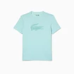 Herren T-Shirt Lacoste Core Performance Light Green