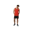 Herren T-Shirt Mizuno  DryAeroFlow Tank Grenadine