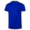 Herren T-Shirt Mizuno  Frontier Shadow Graphic Tee M Bellwether Blue