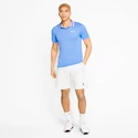 Herren T-Shirt Nike Court Slam Polo Royal Pulse