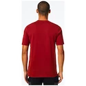 Herren T-Shirt Oakley  O-BOLD ELLIPSE