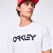 Herren T-Shirt Oakley  O-BOLD ELLIPSE