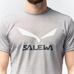 Herren T-Shirt Salewa  Solidlogo Dri-Release Heather Grey